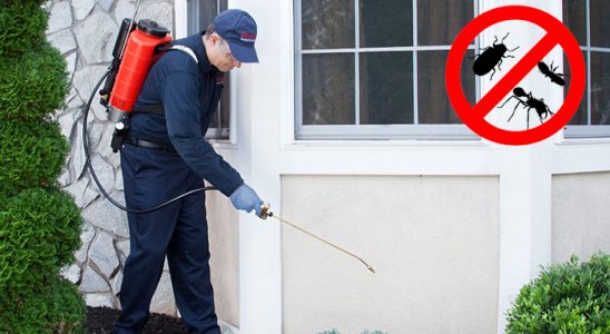 Akıncılar Karınca İlaçlama böcek ilaçlama ve haşere kontrolü — ilaclama-tr.com
